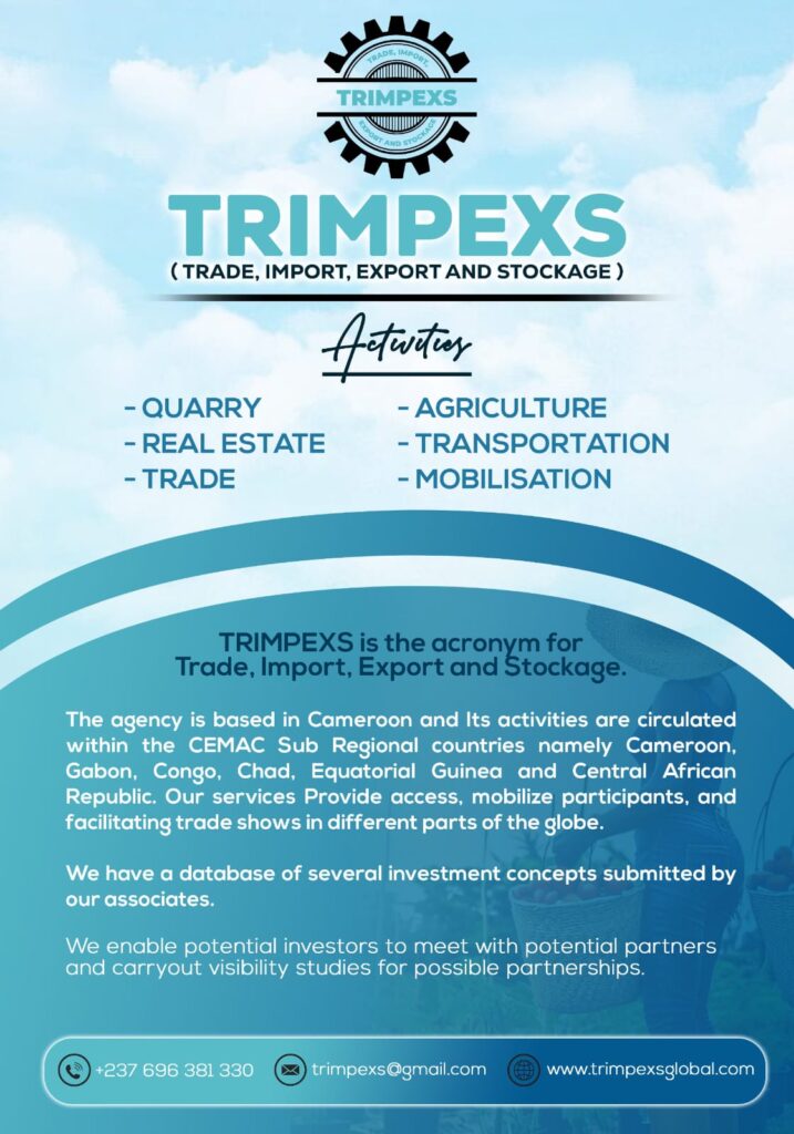 Trimpexs Flyer